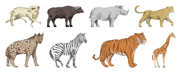 Obraz premium PNG Illustrated wild animals collection on transparent background