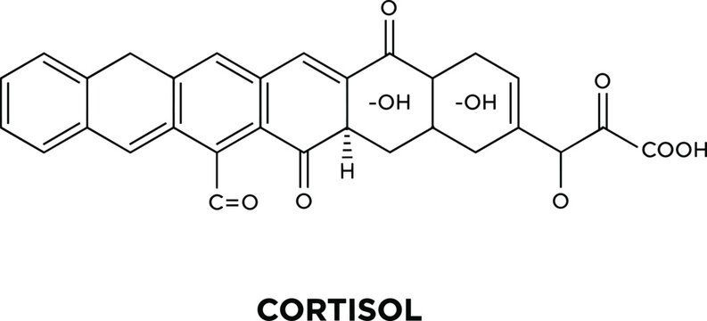 Cortisol hormone chemical structure diagram, stress hormone molecular formula illustration, medical biochemistry science vector educational graphic