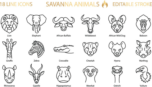 Savanna animals line icon set, African wildlife outline collection, lion elephant zebra cheetah safari editable stroke vector illustration