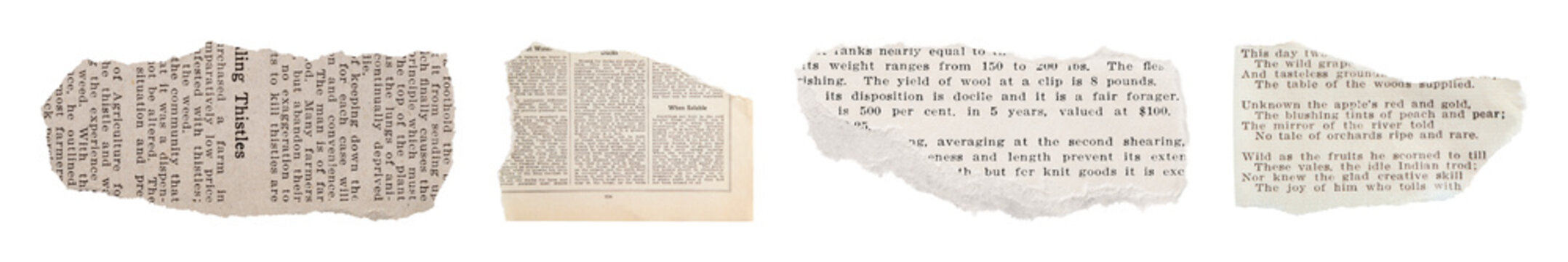PNG Vintage torn newspaper clippings collection on transparent background