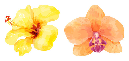 PNG Vibrant watercolor tropical flowers on transparent background © Rawpixel.com