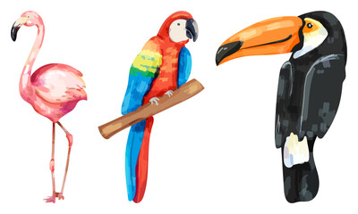 Fototapeta premium PNG Colorful tropical bird illustrations on transparent background