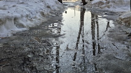 Naklejka premium Melting snow and long water puddle on a city sidewalk during early spring. Reflections of bare trees on the icy surface create a moody atmosphere of seasonal change in a residential area today