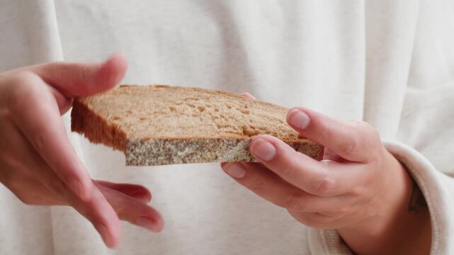 Black rye bread close up, dark brown sliced loaf, borodinsky slavic food, square slices with coriander on white background