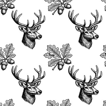 Stag deer and oak leaf seamless pattern etching for vintage wildlife concept