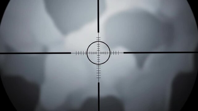 Sniper Scope View - Targeting Abstract Shapes in a Monochromatic Field.