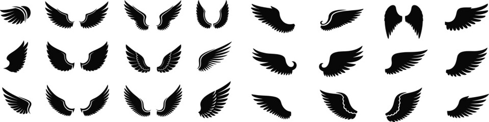 Obraz premium Collection of black feather illustrations on white background