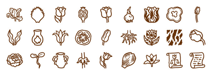 Naklejka premium Hand-drawn botanical tulip and garden elements for organic branding. Rustic naive marker sketch illustrations featuring bulbs, roots, and floral scrolls.