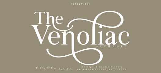 The Venoliac premium luxury elegant alphabet letters and numbers. Elegant wedding typography classic serif font decorative vintage retro. Creative vector illustration © MEG_Graphic