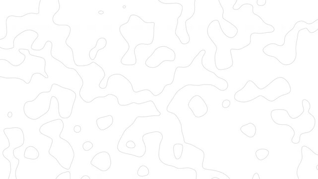Topographic Map Lines Texture &ndash; Clean Minimal Motion Background