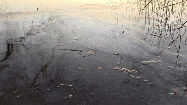 In the winter in the frost, the lake is covered with ice. The reeds are frozen in it. Buildings and trees stand on the shores and reflect off the surface of the ice. Beautiful sky with feathery clouds