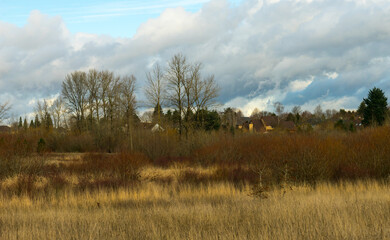 Graham Oaks Nature Park, Wilsonville, Oregon