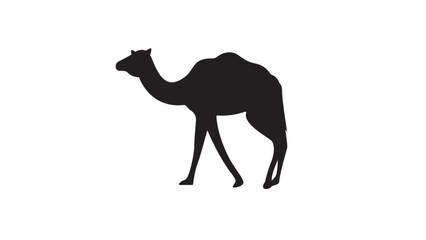 Obraz premium Camel silhouette isolated on white background