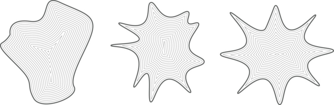 Illustration of three fossilized shells or radiolarian specimens