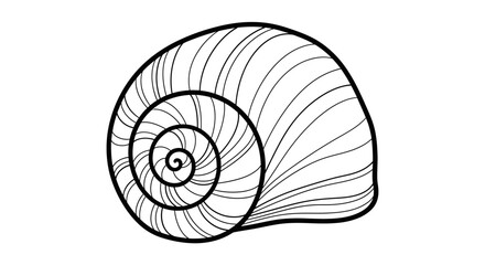 Obraz premium Detailed black and white outline vector illustration of a spiral snail shell. Hand-drawn sea animal mollusk graphic art.