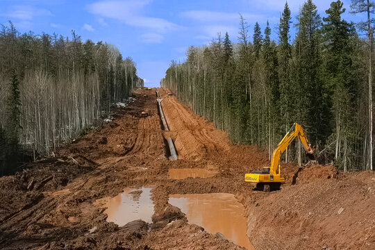 Pipelayer laying pipeline in trench, construction gas pipeline among forest