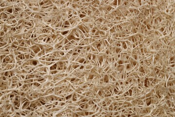 Natural loofah sponge as background, top view