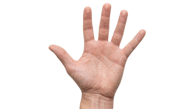 Close-up view of a human hand with five fingers spread wide, palm facing forward, isolated on transparent background, showing open gesture PNG