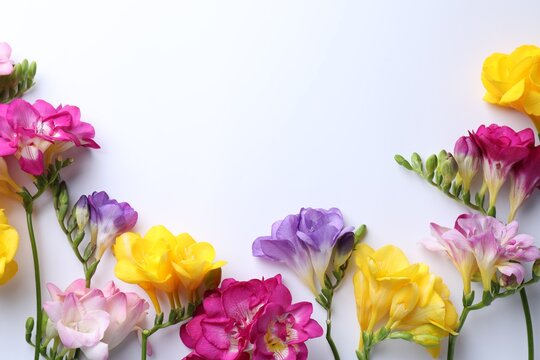 Colorful freesia flowers on white background, flat lay. Space for text