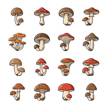 Set of 16 hand-drawn style mushroom illustrations including agaric and porcini species for nature and food design projects.