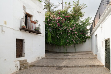 Old residential street with white houses in Ibiza old town, Spain