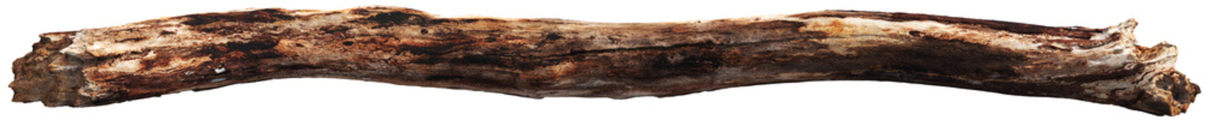 Weathered driftwood log with twisted trunk © Matheus