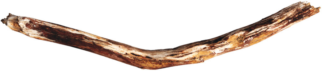 Weathered driftwood log with twisted trunk © Matheus