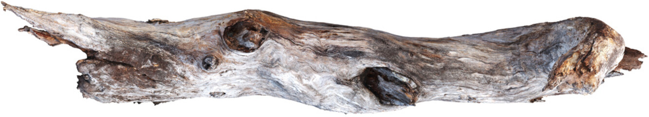 Weathered driftwood log with twisted trunk © Matheus