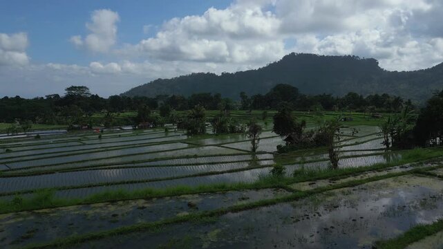 Lush green rice terraces cascade down a hillside, reflecting the cloudy sky. Small huts dot the landscape, with a lush mountain range in the background.