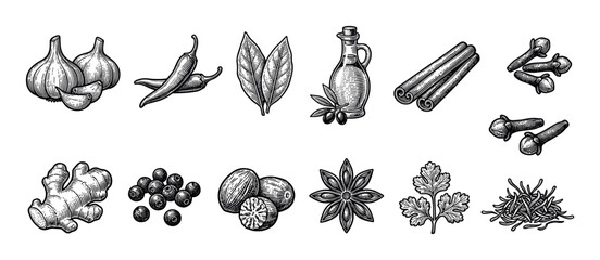 Fototapeta premium Large set of culinary spices and herbs including garlic, chili, cinnamon, ginger, and star anise, illustrated in a detailed black and white vintage woodcut engraving style