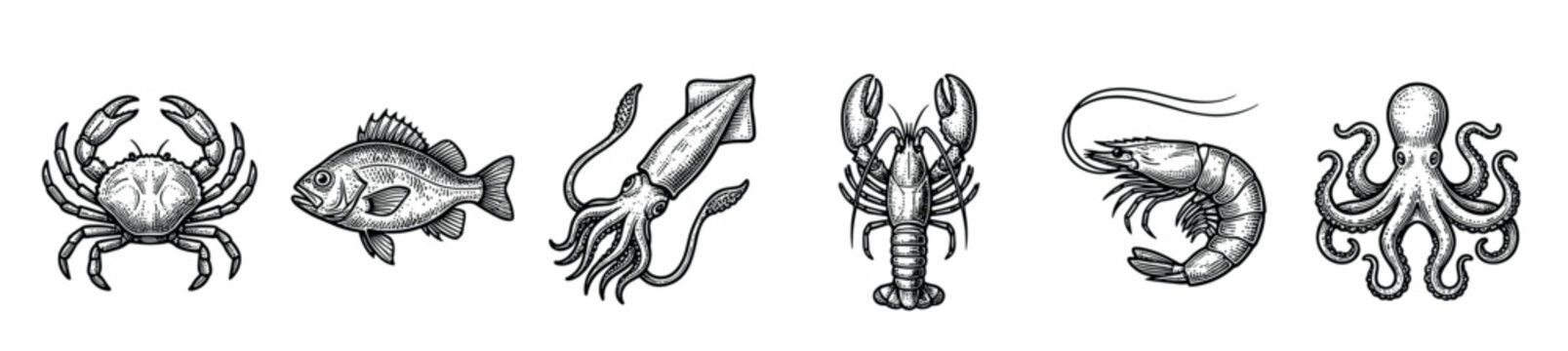 Set of vintage seafood illustrations in a detailed black and white engraving style, featuring a crab, fish, squid, lobster, shrimp, and octopus for culinary design
