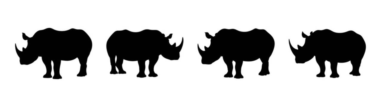 Silhouette of african oryx antelopes grazing in a group wildlife animal vector illustration