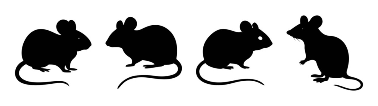 Four black degu silhouette vector graphic perfect for animal lovers and pet store promotions online and print