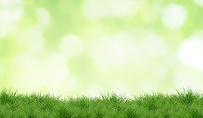 Naklejka premium Lush green grass against blurred background with bokeh lights, banner design. Spring season