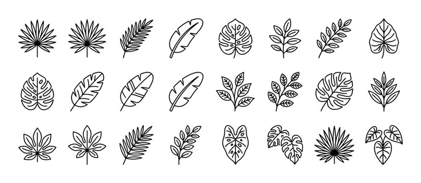 Collection of black line art tropical leaves featuring monstera, palm, and banana leaf icons drawn in a simple minimalist doodle style for botanical and summer designs