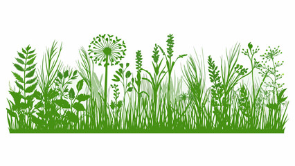 A vibrant green illustration depicts a variety of wildflowers and grasses © MihirKumarMondal
