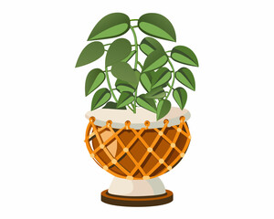 A vibrant philodendron plant displayed in a decorative woven pot © Indira