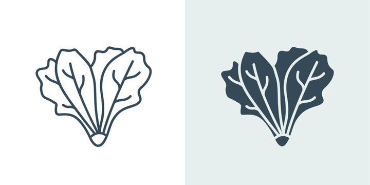 Lettuce vegetable icon in line and solid vector style