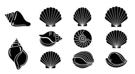 Collection of diverse seashells and marine mollusk shells, black silhouettes on white background © purnama