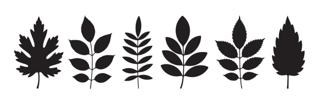 Variety of botanical leaf silhouettes for autumn season and spring floral design elements vector collection