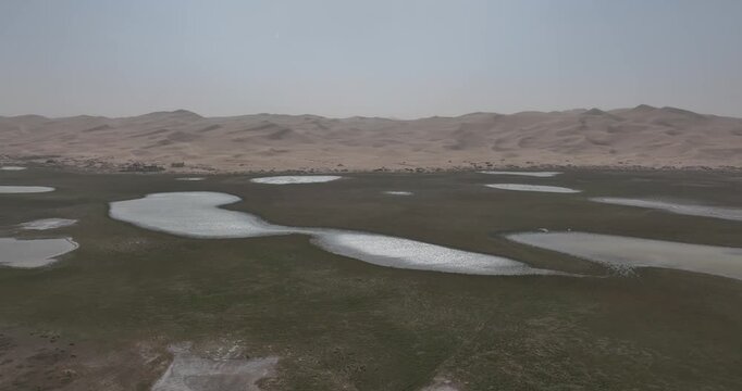 Aerial view of oasis landscape in desert
