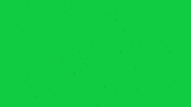 Fly FX Pack &ndash; 5 Green Screen Animations &ndash; Fullscreen Swarm, Toward Camera, Side Entry, Actor Overlay, Spiral &ndash; Insect VFX Elements