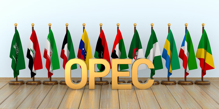 OPEC Countries flag in hall. 3D illustration