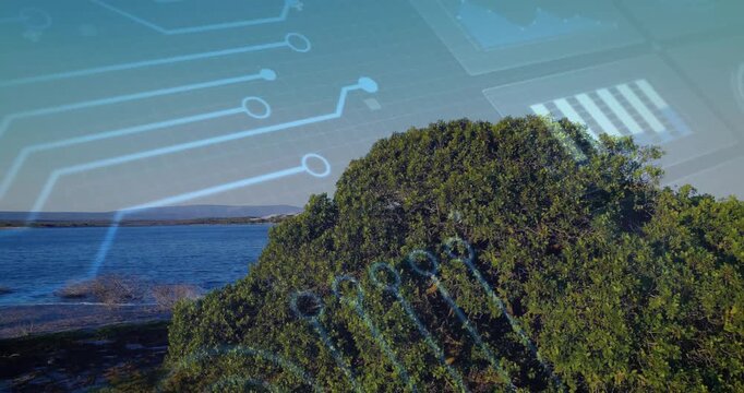Panning camera revealing large dense coastal shrub at shoreline, with microchip overlay appearing