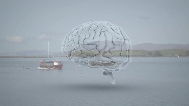 3D brain fading, descending over calm bay, rotating, casting shadow for medical demo near boat