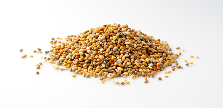 Mixed bird seed for parakeets and small birds isolated on white background