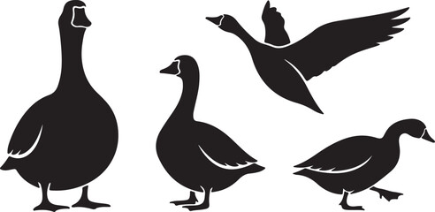 Goose silhouette collection isolated on white background vector set. © Ai_Images