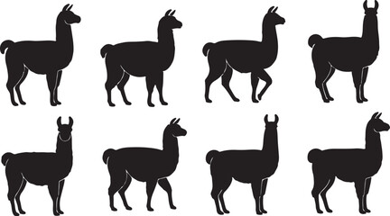 Alpaca Silhouette Set South American Camelid Farm Animal Vector Illustration © Ai_Images