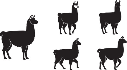 Alpaca Silhouette Set South American Camelid Farm Animal Vector Illustration © Ai_Images
