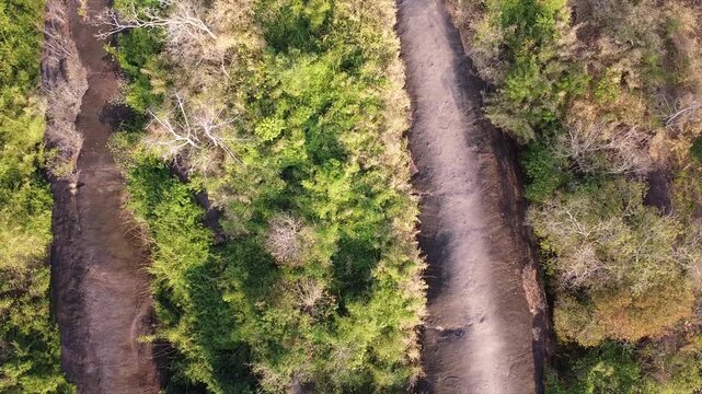 クジラ岩の空撮　ブンカーン県・タイ　Hin Sam Wan, 3 whale rock, Thailand　Drone Shooting